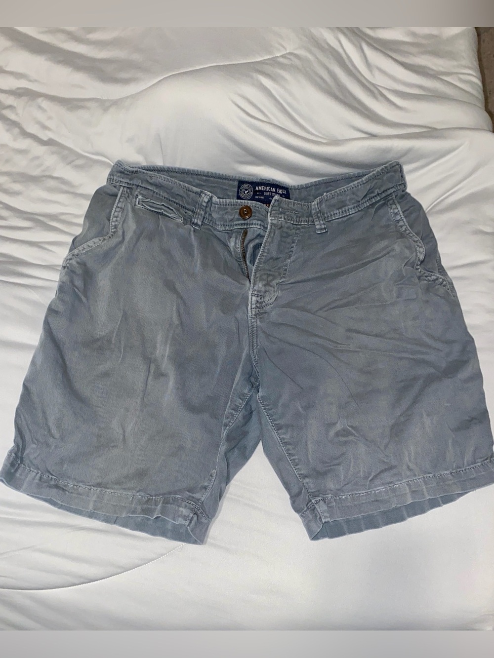American Eagle Outfitters Men’s Grey Flat Front Shorts